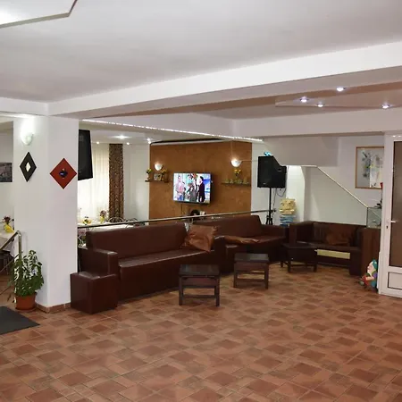 Pensiunea Steluta-2